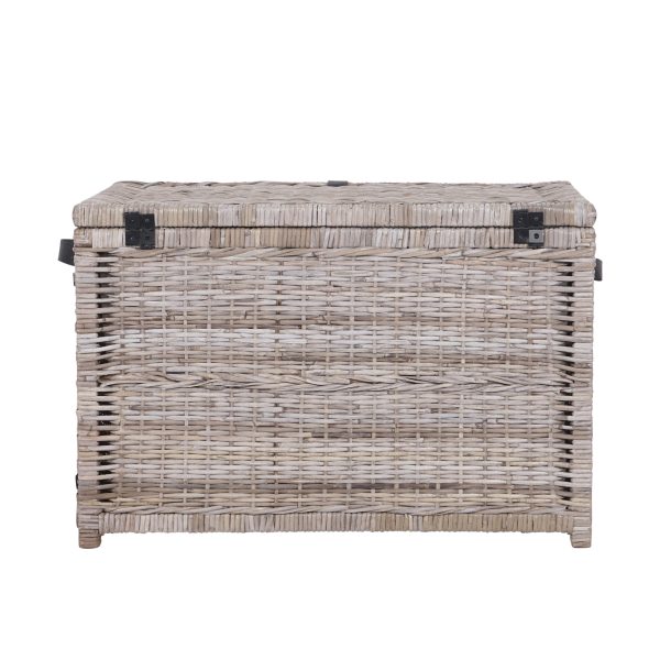 Michael 35 Wicker Storage Trunk