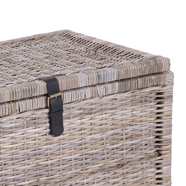 Michael 35 Wicker Storage Trunk