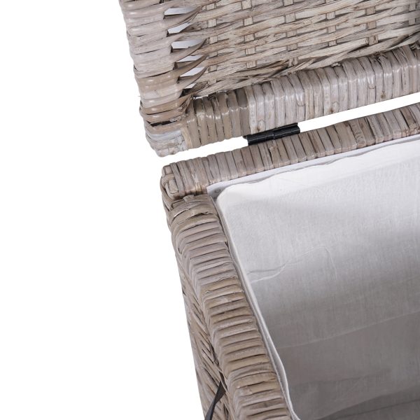 Michael 35 Wicker Storage Trunk