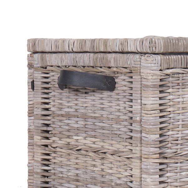 Michael 35 Wicker Storage Trunk
