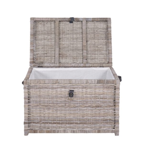 Michael 35 Wicker Storage Trunk
