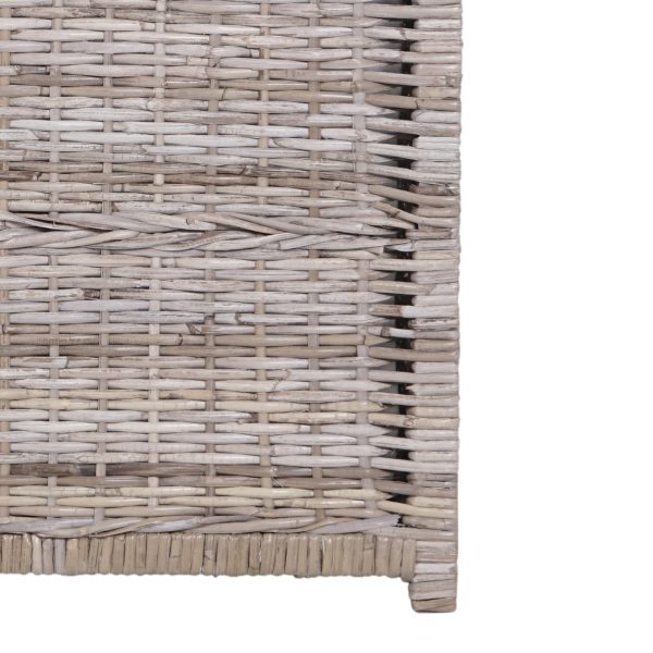 Michael 35 Wicker Storage Trunk